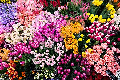 厂商警告PS5版《艾尔登法环》玩家勿用主机待机模式